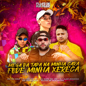 Mega da Tapa na Minha Cara - Fode Minha Xereca (Explicit)