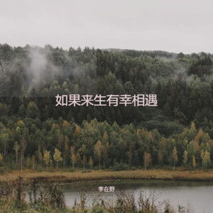 如果来生有幸相遇 (烟嗓版)