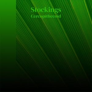 Stockings Cercopithecoid