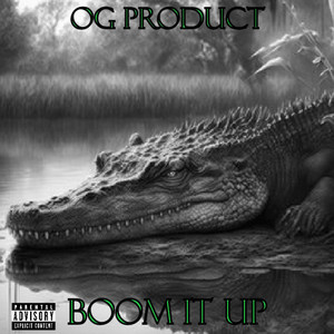 Boom It Up (Explicit)