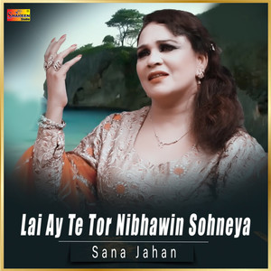 Lai Ay Te Tor Nibhawin Sohneya - Single