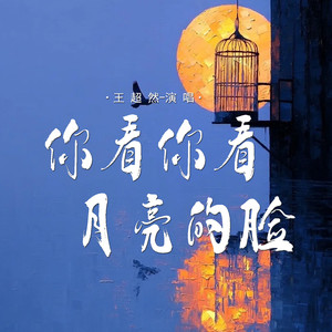 你看你看月亮的脸-王超然
