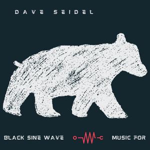 Music for Black Sine Wave