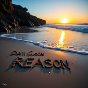 Reason