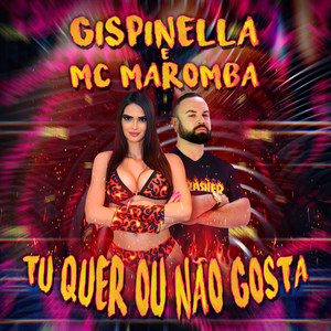 Tu Quer ou Não Gosta (Explicit)