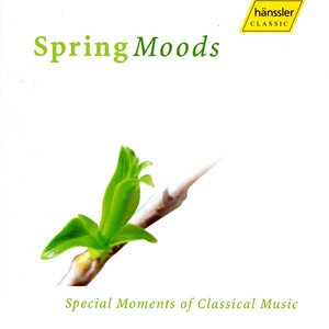 Keyboard Sonata in D Minor, K.141/L.422/P.271 (arr. for 2 guitars)