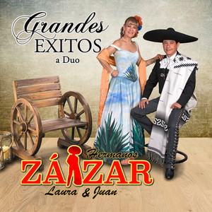 Grandes Exitos a Duo (En Vivo)