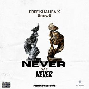 Never Say Never... (feat. SnowS)