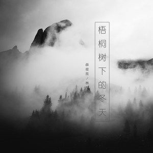 梧桐树下的冬天