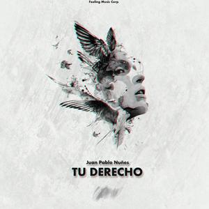 Tu Derecho