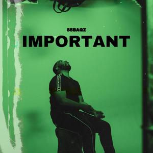 Important (Explicit)