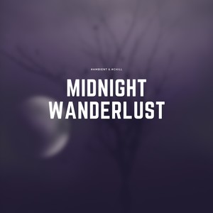 Midnight Wanderlust: Lo-fi Journeys