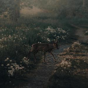 when you told me forever - demo