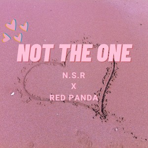 Not The One(feat. Red Panda) (Original Version)