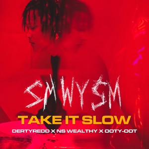 Take It Slow (feat. NS Wealthy) (Explicit)