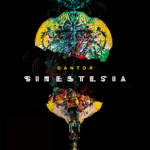 Sinestesia