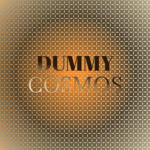 Dummy Cosmos