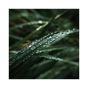 Flying Times (Cinematic)