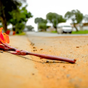 Ngiyazfela(feat. Space Gawd & Freshly Da Don)