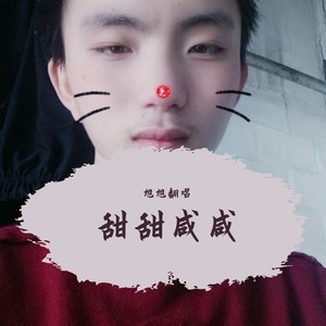 甜甜咸咸 (DJ甜美版)封面