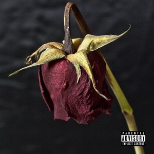 You'll Be Fine (Explicit)