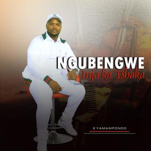 DLALA VALA (feat. VALANGENTSIMBI)