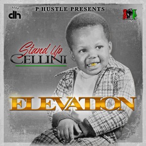 Elevation (Explicit)