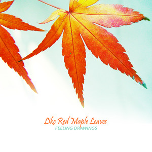 설레던 지난가을 (Last Autumn)