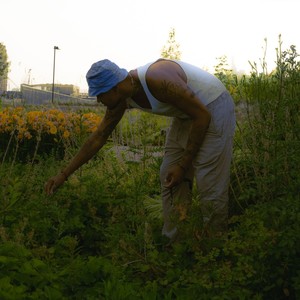 Bonita Morena (feat. Mistersir) (Explicit)