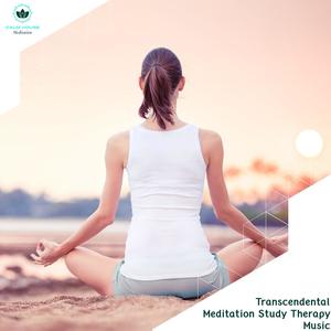 Macro Healers (Original Mix)