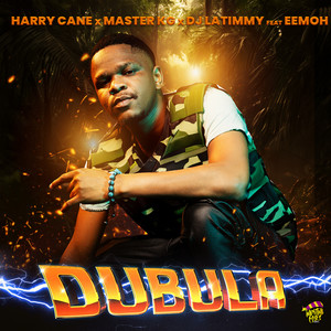 Dubula (Remake|feat. DJ Latimmy)