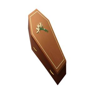 coffin (feat. lulgwapo) (Explicit)