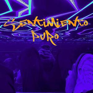 Sentimiento Puro
