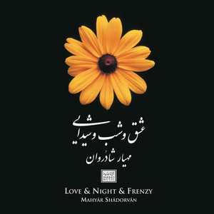 Love & Night & Frenzy