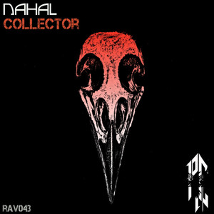 Collector (Original Mix)