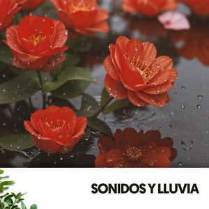 Sonidos y Lluvia: Symphony of Raindrops