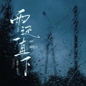 雨还一直下封面
