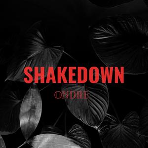 SHAKEDOWN