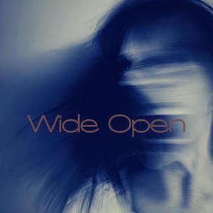 Wide Open (Something Wild)