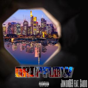 DripFlow(feat. Caudo) (Explicit)