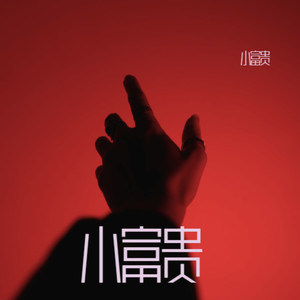 不要问我分手后怎么过 - 小富贵封面