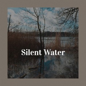 Silent Water