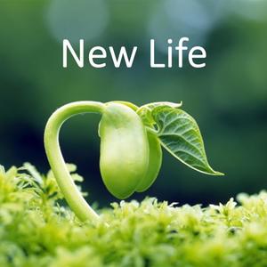 New life