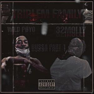 Wild Poyo BUSSA (Explicit)