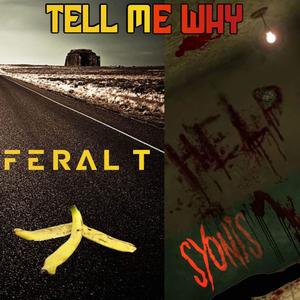 Tell Me Why (feat. SYONIS)