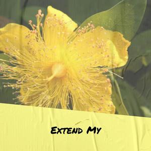 Extend My