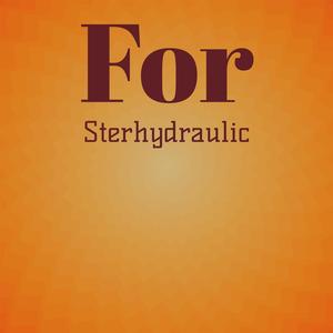 For Sterhydraulic