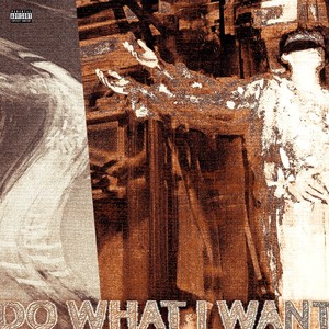 Do What I Want (Explicit)