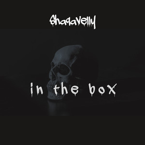 In The Box (Explicit)