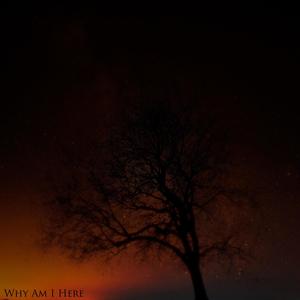 Why Am I Here (Explicit)